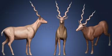 3D model Gold Antelope (STL)